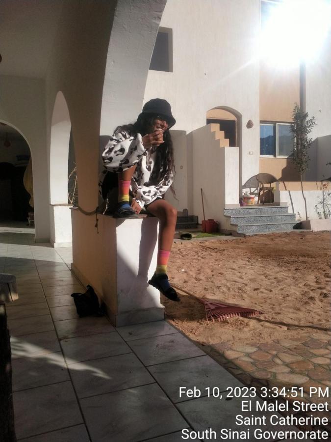 Nook Hostel Dahab Luaran gambar