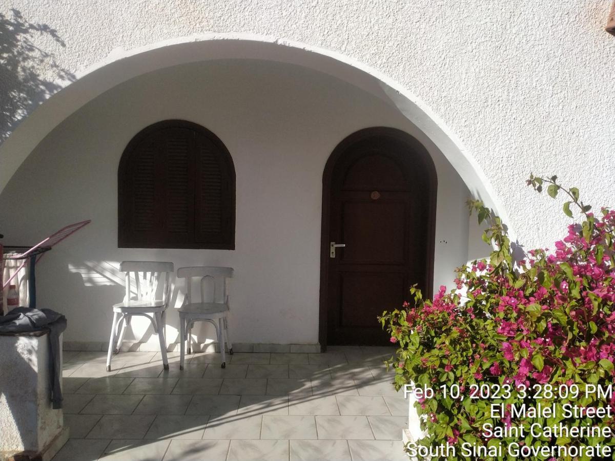 Nook Hostel Dahab Luaran gambar