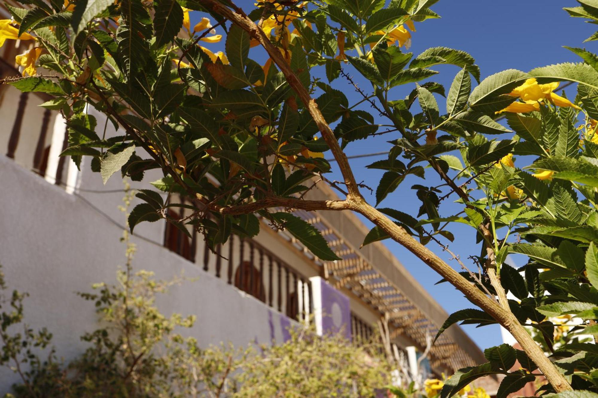 Nook Hostel Dahab Luaran gambar