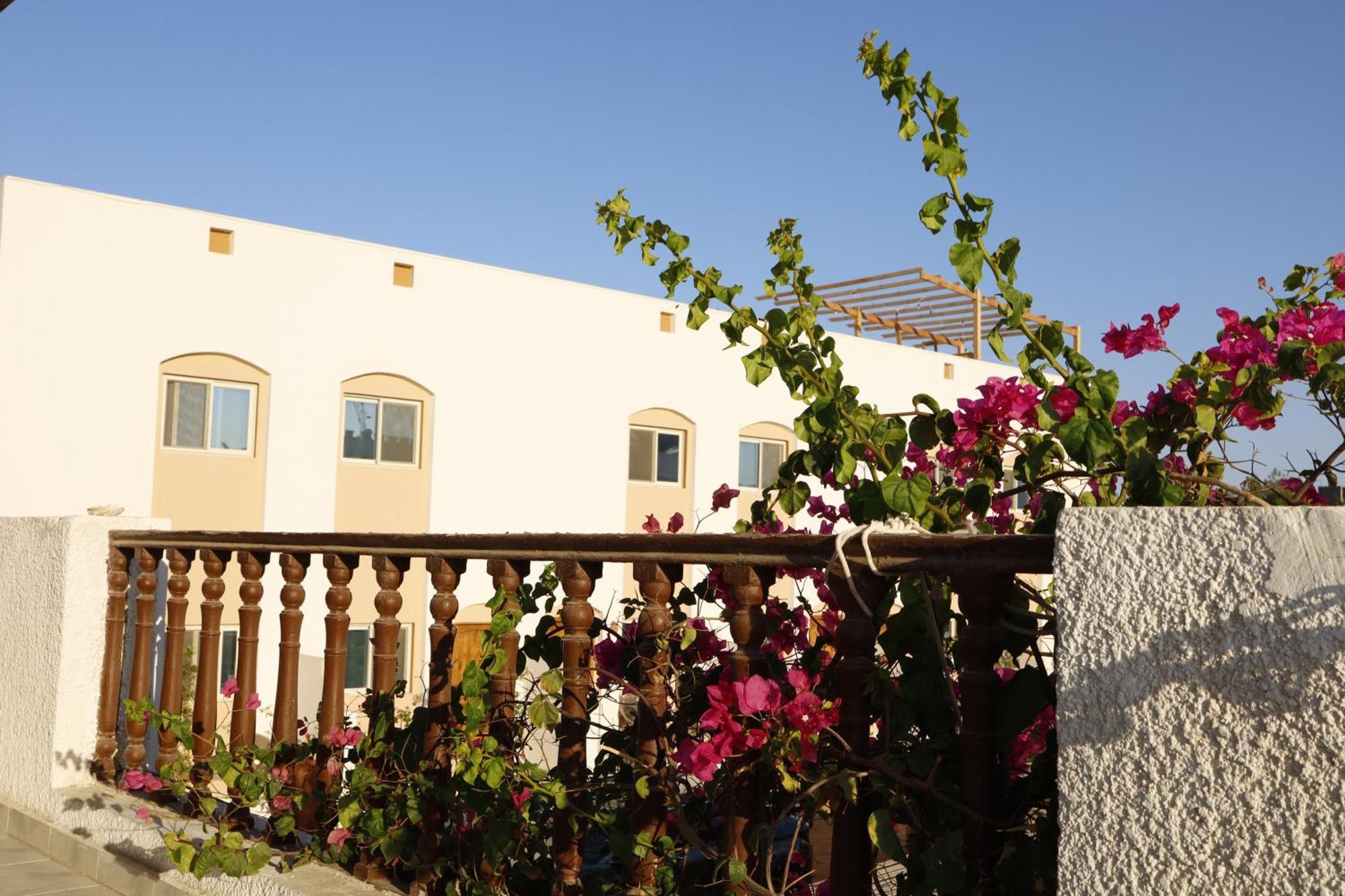 Nook Hostel Dahab Luaran gambar