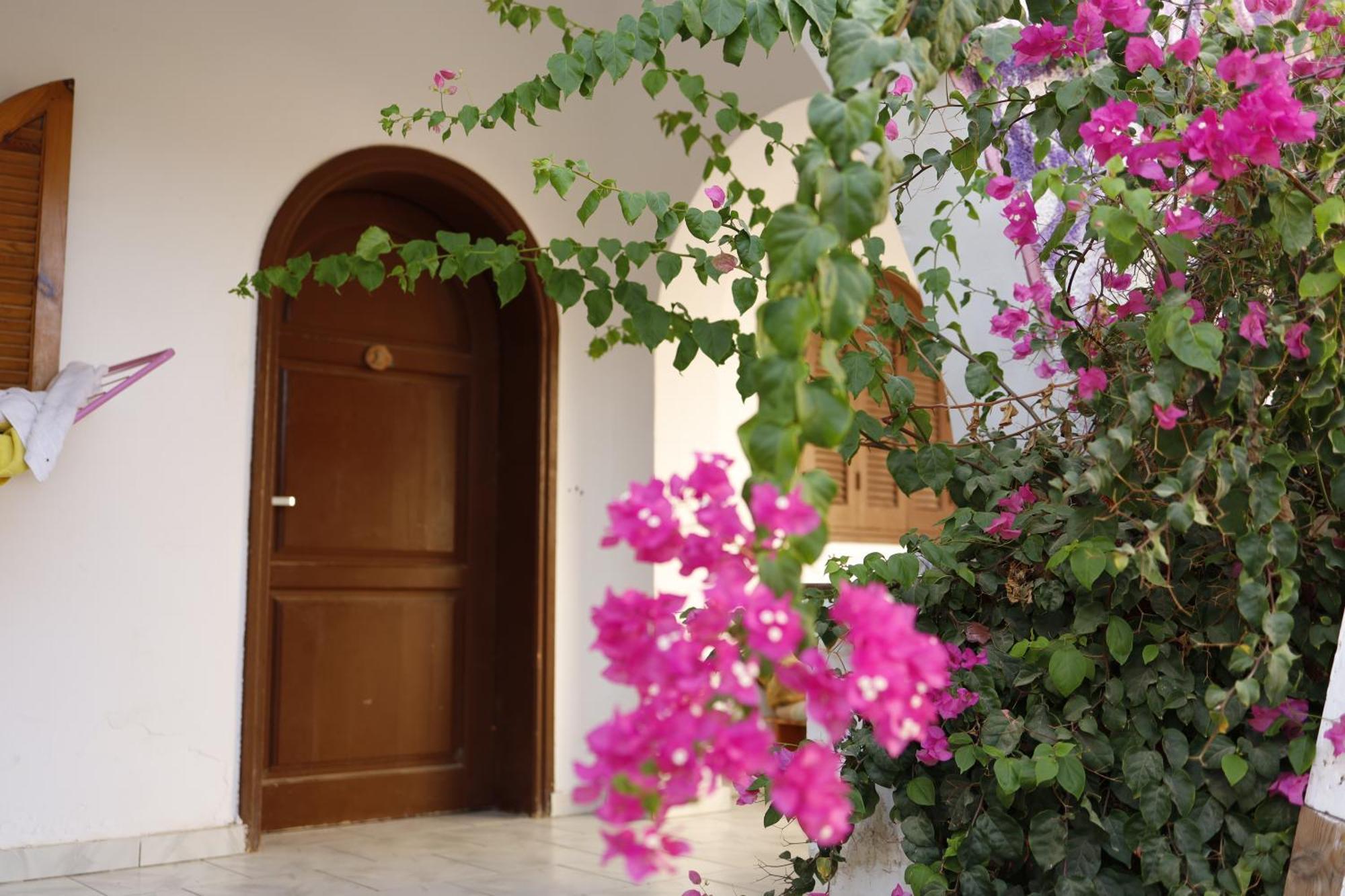 Nook Hostel Dahab Luaran gambar