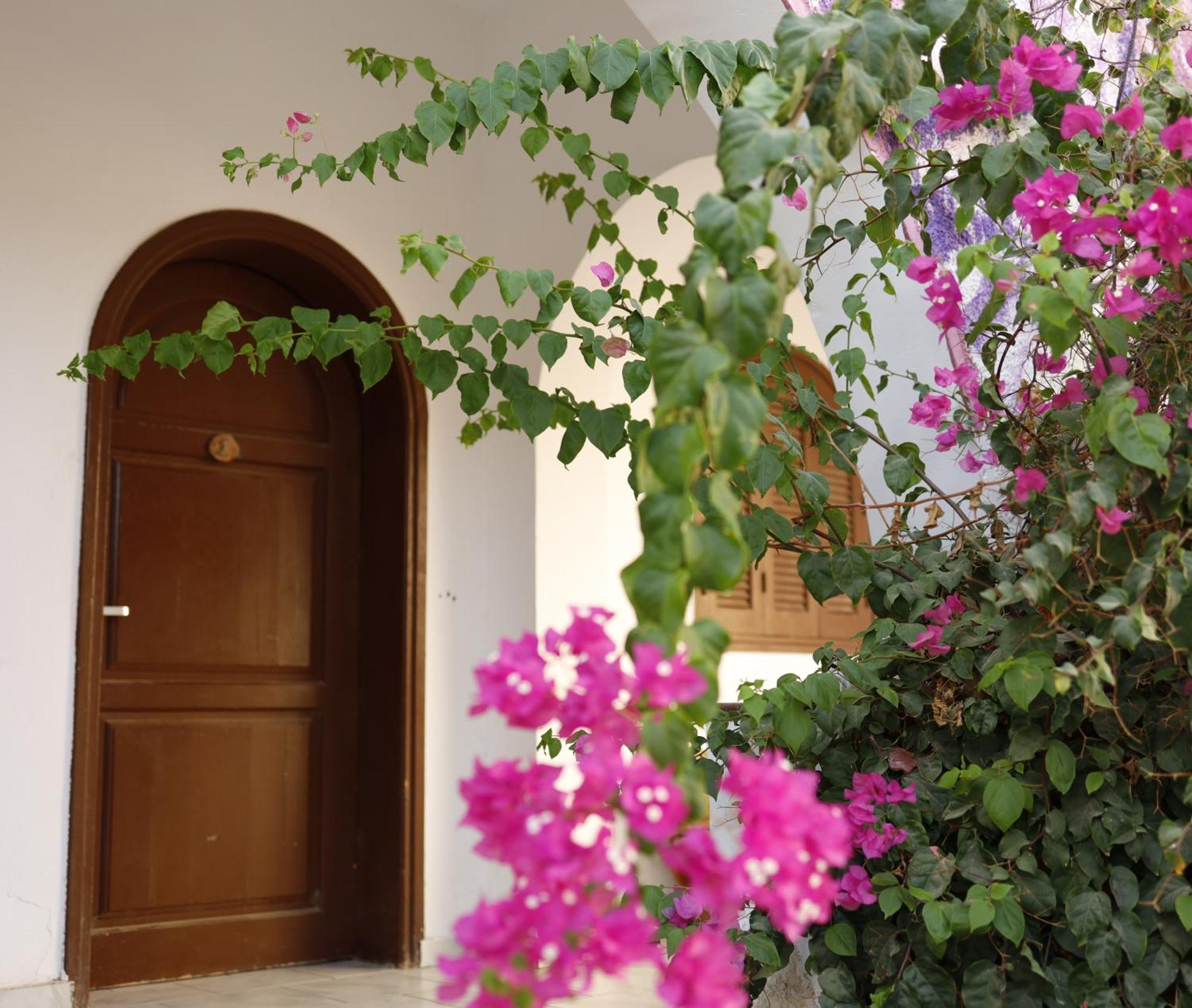 Nook Hostel Dahab Luaran gambar